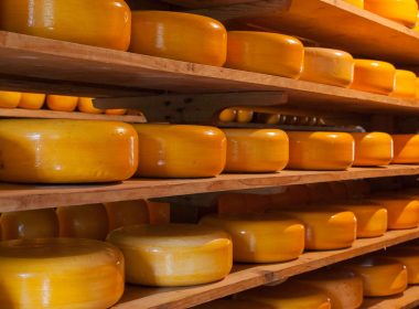 Cheese