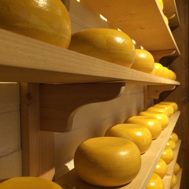 Cheese industry